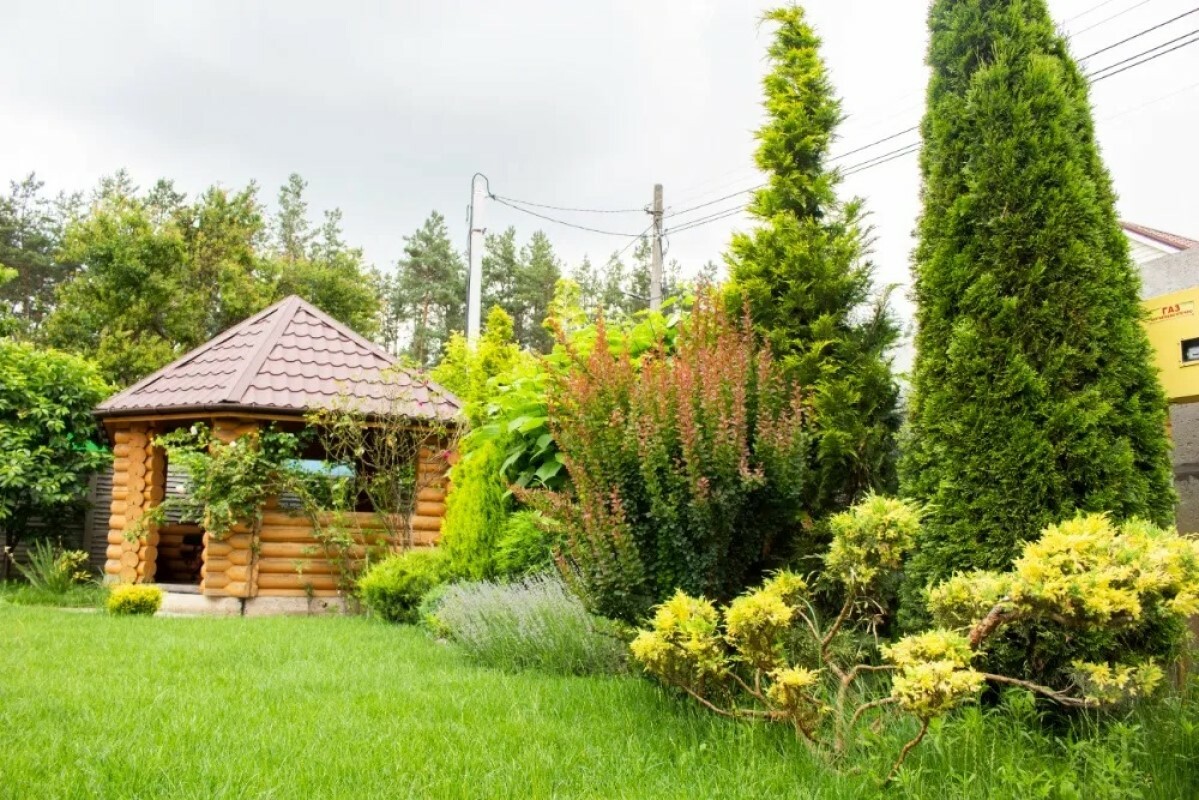 https://mahachkala.tgv-stroy.ru/storage/app/uploads/public/637/ef4/fb3/637ef4fb3605f391429275.png